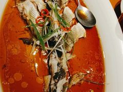 -丹江渔村(望京店)