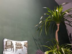 -明星刺青·洗纹身