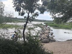 -绿堤公园