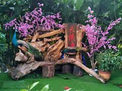 -西双版纳勐泐文化旅游区