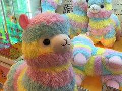 汤姆熊(百联滨江店)-汤姆熊欢乐世界(滨江店)