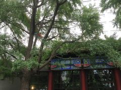 -四川大学(华西校区)