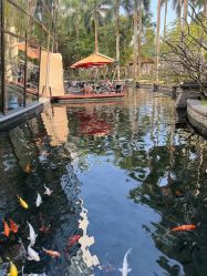 -华侨城洲际大酒店·宴会厅