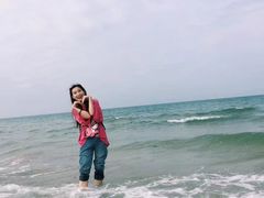 -贝壳沙滩