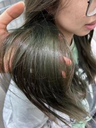-Hair Code芭曲发型