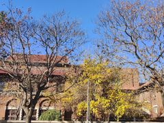 -天津五大道文化旅游区