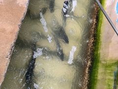 -姥家大锅台水库渔家