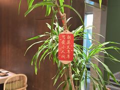 -山缓缓火锅(青岛万象城店)