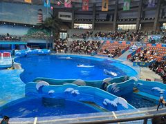 -海合安成都极地海洋公园