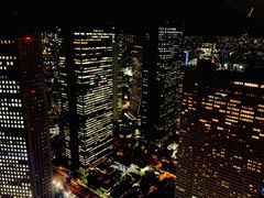 -东京都厅舍