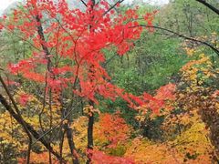 -丹东天桥沟景区