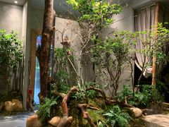 -森SPA·泰式按摩·精油Massage(宝安中心店)