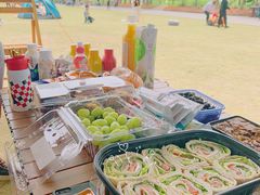 -上海滨江森林公园