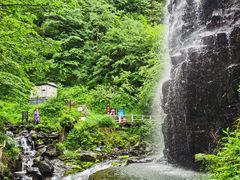 -凤凰山国家森林公园