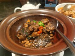 紫苏滋滋甲鱼-闽和南(深圳万象城店)