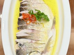 白鱼-鲁宴·鲁煨黄河生态大鲤鱼(月坛店)