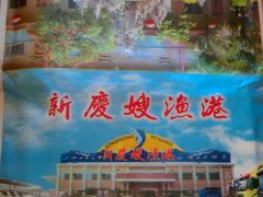 纸巾-新庆嫂渔港