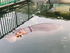 -无锡动物园·太湖欢乐园