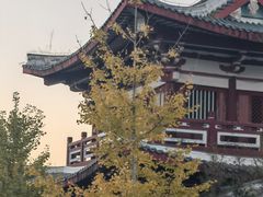 -莆田南少林寺