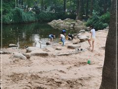 -苏州河梦清园环保主题公园