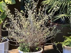 -观宴·品质赣菜(高新大道店)