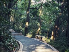 -广州市白云山风景名胜区