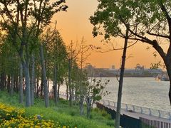 -南汇嘴观海公园