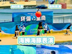 -秦皇岛乐岛海洋王国