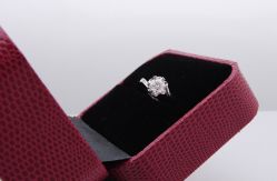 _DSC6782-威德钻石-克拉钻大本营(南京东路店)