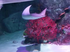 -沈阳海洋探索中心