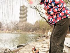 -北京大学百年讲堂