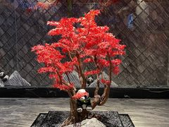 -红辣椒·川菜·火锅(大洋中心店)