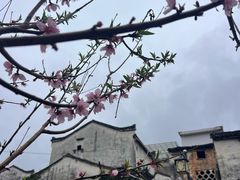-石潭村