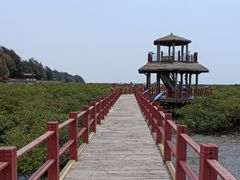 -北海金海湾红树林生态旅游区
