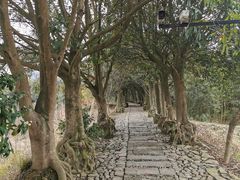 -皤滩古镇