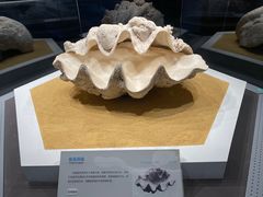 -贝林大翅鲸简餐厅(国家海洋博物馆店)