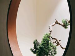 -隐溪茶馆(南京西路店)