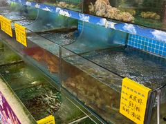 -坛南湾阿强农家乐.海鲜大排档老字号(福州地标美食店)