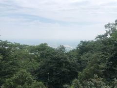 -阳台山自然风景区