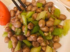 -苏氏牛肉面(团结路店)