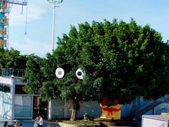 -巨鹏飞梦幻海岸