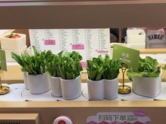 -一围肥牛肉小火锅(佳兆业广场店)