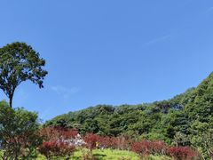 -广州市帽峰山景区