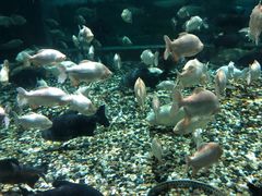 -成都浩海立方海洋公园