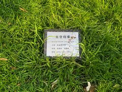 景点-朝阳公园