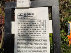 -广州市石门国家森林公园