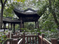 -上海佘山国家森林公园天马山园