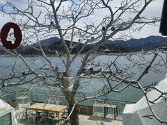 -望湖烤鱼