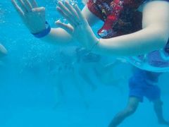 -重庆海昌加勒比海水世界