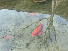 -西湖国宾馆·紫薇厅